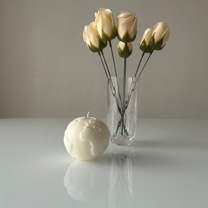 Bougie parfumée TERRE